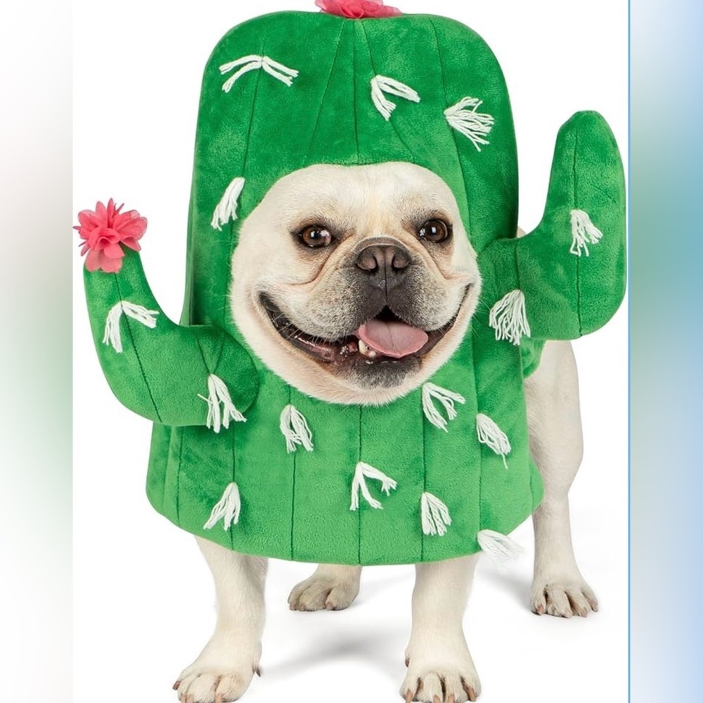 🌵 Cyeollo Cactus Dog Costume – Medium – Soft, Funny, Machine Washable 🌵